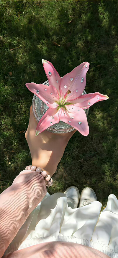 手机壁纸