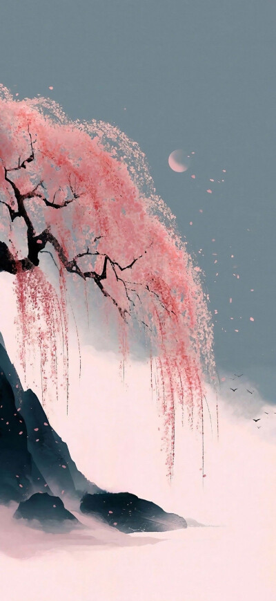 风景
