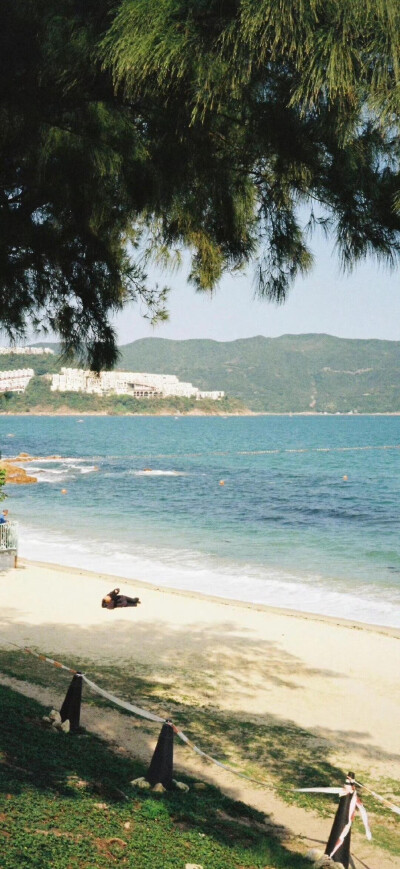 海