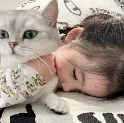 萌