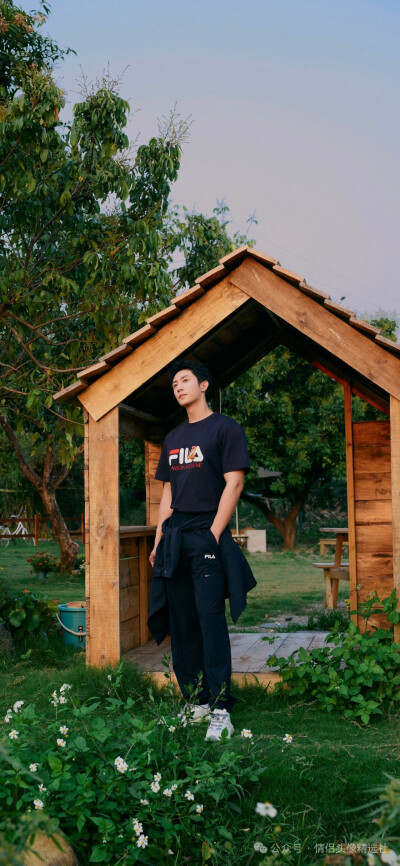 壁纸