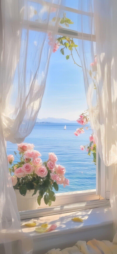 海
