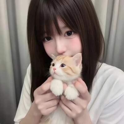 萌