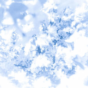 蓝色背景图 氛围感ins风