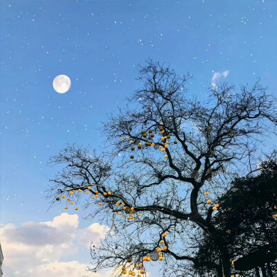 朋友圈背景图
