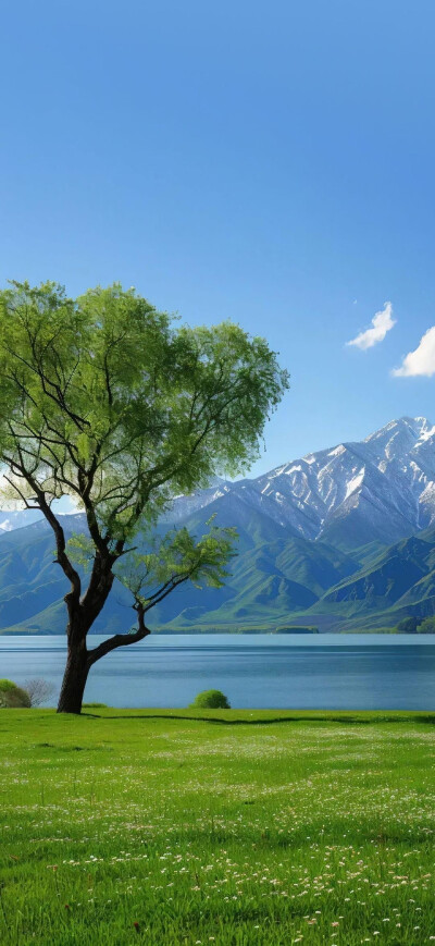 风景