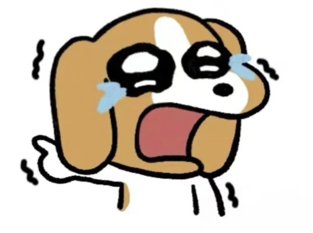 比格多栋可爱头像/表情包 侵权可删