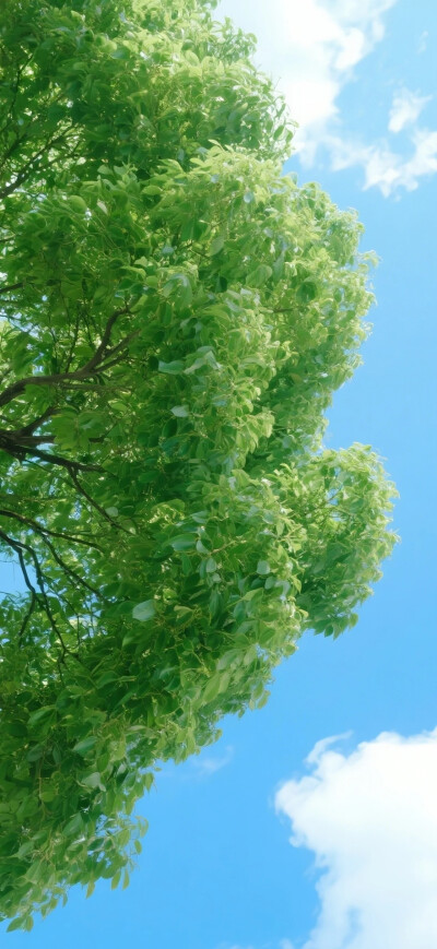 。