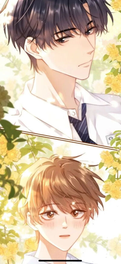 微信公众号晨星图库