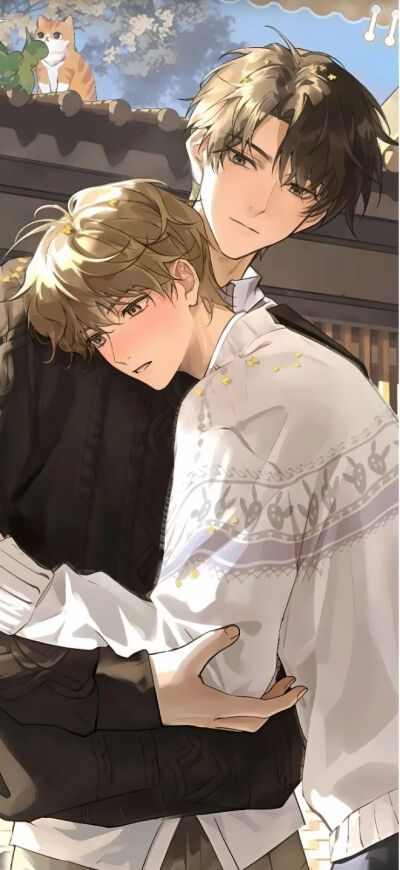 微信公众号晨星图库