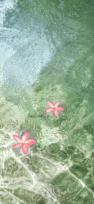 小清新夏日壁纸分享.ᐟ.ᐟ