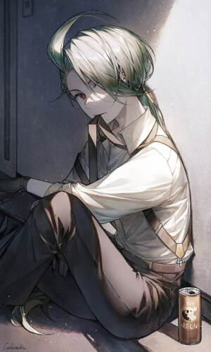 宝可梦朱紫辛俐