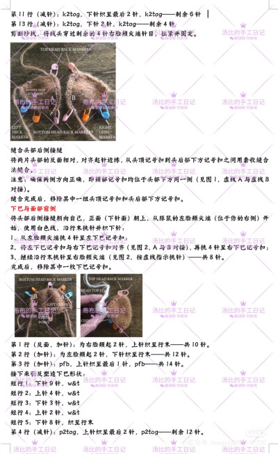 豚鼠