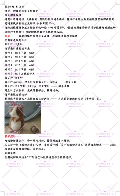 豚鼠