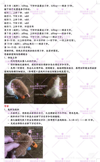 豚鼠