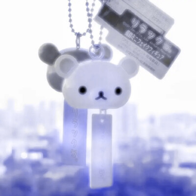 “亲爱的蝴蝶兰小姐，我永远爱你”