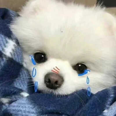 。