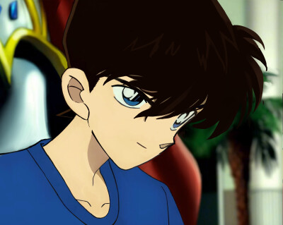 工藤新一
名侦探柯南