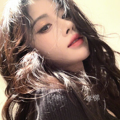 灯火会牵引 梦游的木马