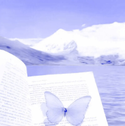 “亲爱的蝴蝶兰小姐，我永远爱你”