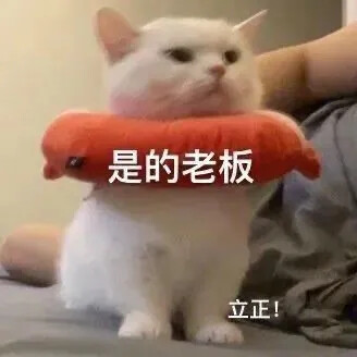 小猫表情包