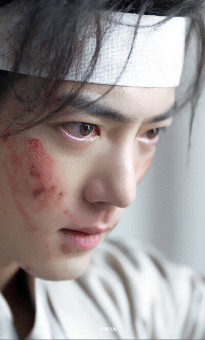 藏海