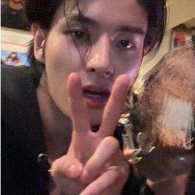 沈载伦