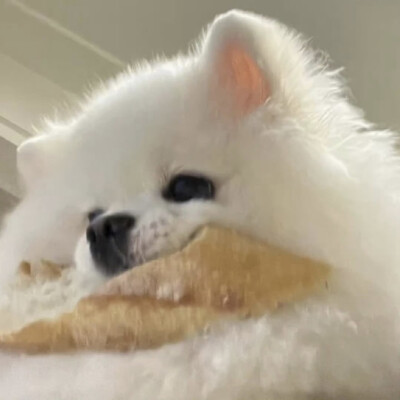 dt林宇婧