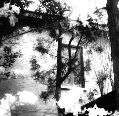 
..爱人の眼睛ᵒeternaloasis×sunflower＾