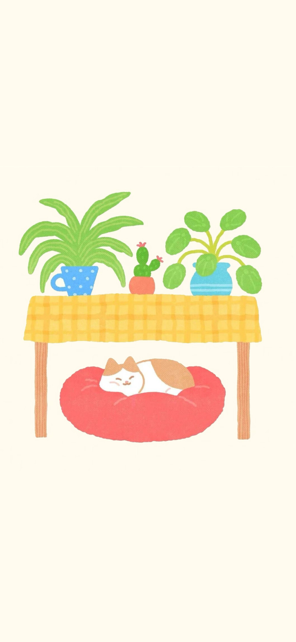 猫咪