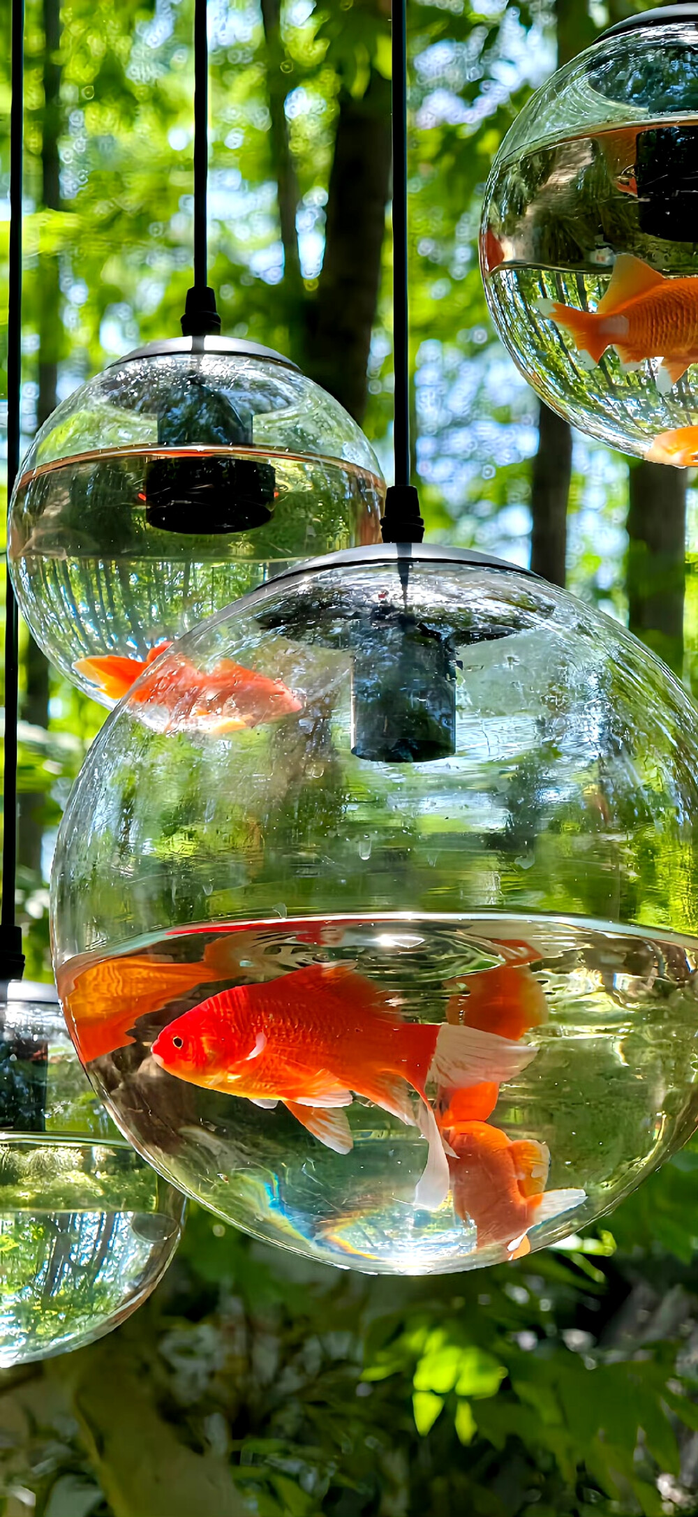 绿色护眼壁纸 锁屏 聊天背景