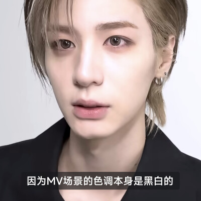 金桐儇