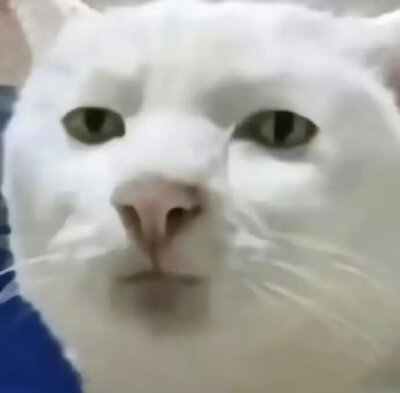 ✔