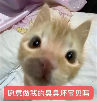 我不喜欢你了