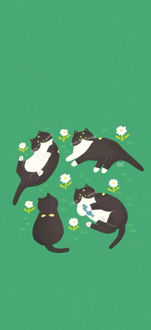 【全是猫】吃我一套喵喵拳②