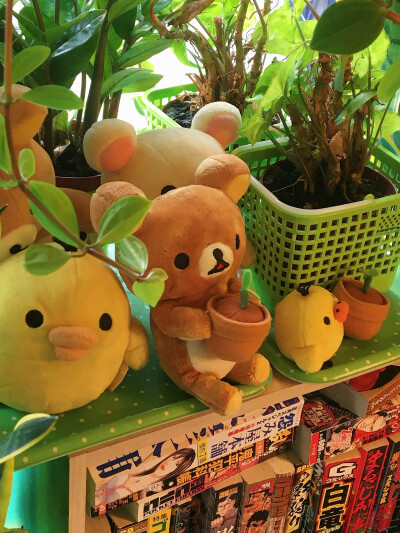 幸運轻松熊