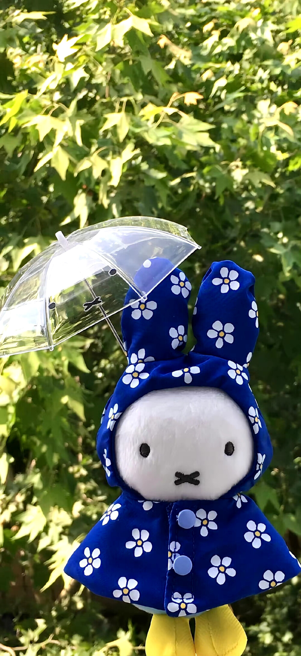 绿色护眼壁纸 锁屏 聊天背景