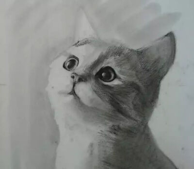 刻画猫咪毛发之前，可以用压痕笔略微的表现出毛发。猫咪五官部分的毛发就需要多去压痕一下，把毛的质感丰富表现出来。记住，压痕的时候一定要顺着猫咪毛发生长的方向。
同样用排线的方式沿着毛发生长的方向排出猫咪…