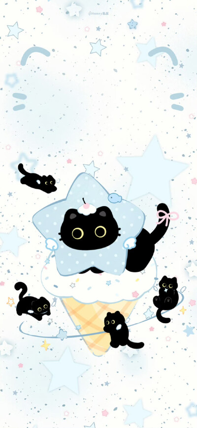 海盐小猫咪