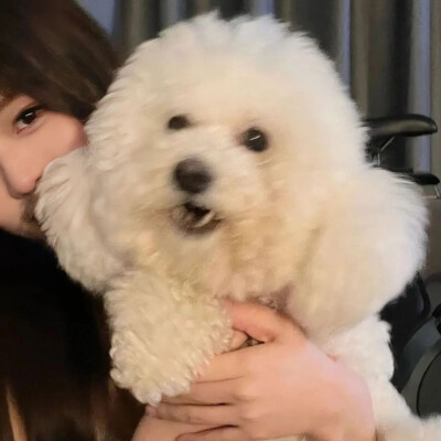 美女