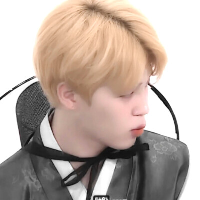 
Le dicton:恐驚枝上雀 卻道樹常青