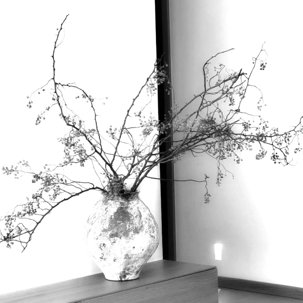 
Le dicton:恐驚枝上雀 卻道樹常青