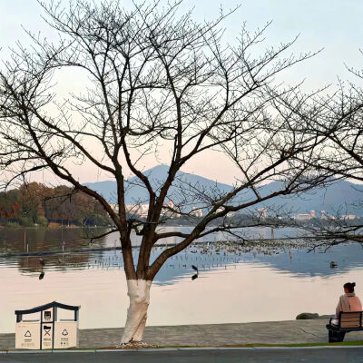 背景图