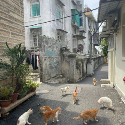 背景图