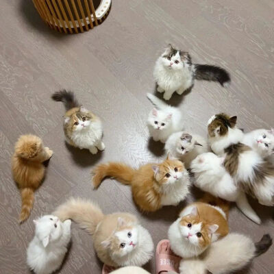 背景图