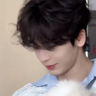 猫猫