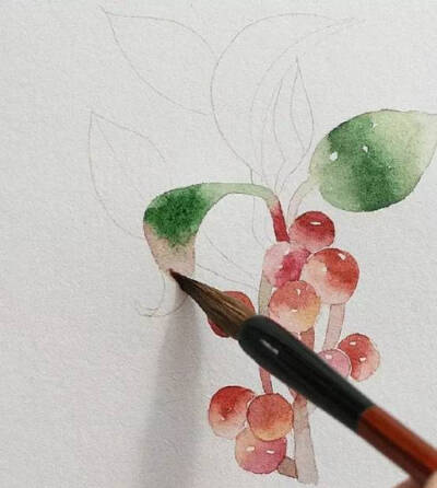 5.继续把剩下的叶子画完