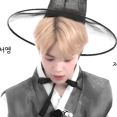 
Le dicton:恐驚枝上雀 卻道樹常青