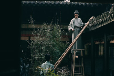 藏海