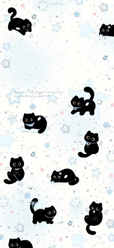 海盐小猫咪